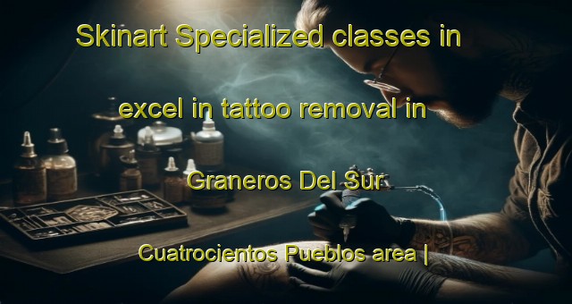 Skinart Specialized classes in excel in tattoo removal in Graneros Del Sur  Cuatrocientos Pueblos area | RemovalTraining | RemovalClasses | SkinartTraining-Mexico